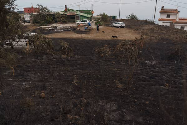 Thousands of people have been evacuated from the island of Tenerife as wildfires spread throughout the island. (Credit: Getty Images)