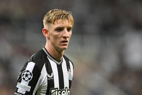 Newcastle United winger Anthony Gordon.  (Photo by Michael Regan/Getty Images)