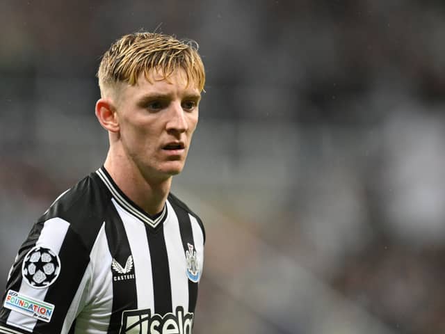 Newcastle United winger Anthony Gordon.  (Photo by Michael Regan/Getty Images)