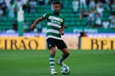 Goncalo Inacio 