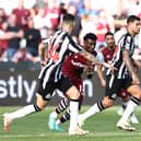 Newcastle United midfielder Bruno Guimaraes. Photo by HENRY NICHOLLS/AFP via Getty Images)