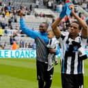 Loic Remy retired from football last year (Getty Images)