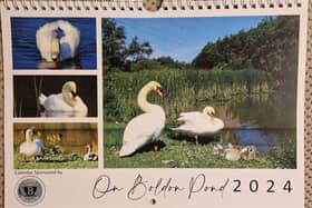 On Boldon Pond calendar 2024