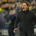 Dortmund’s German head coach Edin Terzic reacts from the sidelines during the UEFA Champions League Group F football match between BVB Borussia Dortmund and Newcastle United FC in Dortmund, western Germany on November 7, 2023. (Photo by INA FASSBENDER / AFP) 