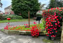 Volunteers have come together to display poppies all around the cemetery to mark Remembrance Day.

Credit: John Stewart