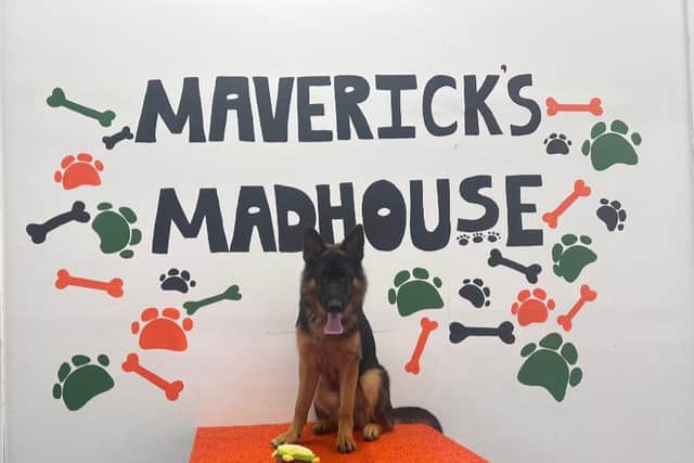 Iris posing at Maverick's Madhouse