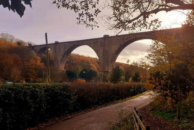 Previous plans suggested the Victoria Viaduct in Fatfield would be part of the new Metro line.