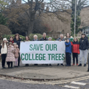 South Tyneside Tree Action Group (STTAG) are urging Avant Homes to reconsider felling the trees. Photo: Other 3rd Party.