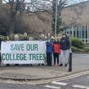 South Tyneside Tree Action Group (STTAG) are urging Avant Homes to reconsider felling the trees. Photo: Other 3rd Party.