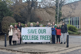 South Tyneside Tree Action Group (STTAG) are urging Avant Homes to reconsider felling the trees. Photo: Other 3rd Party.