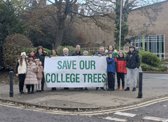 South Tyneside Tree Action Group (STTAG) are urging Avant Homes to reconsider felling the trees. Photo: Other 3rd Party.