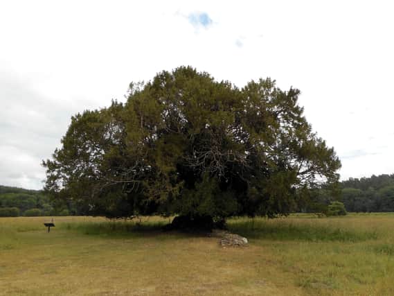 Benn Curran-Nicholls, 14, tragically died after eating poisonous berries off a yew tree during a walk with his dad in Fletcher Moss Park in Manchester. (Photo: PA)