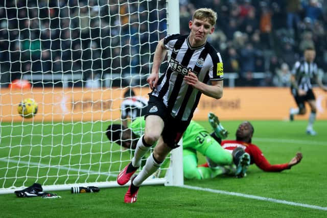 Anthony Gordon celebrates scoring against Manchester United. 