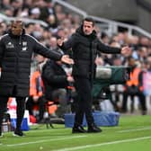 Fulham boss Marco Silva was unhappy with some of the refereeing decisions during the game between Newcastle United and Fulham 