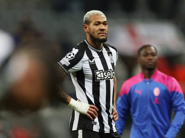 Joelinton could play a key role in the transfer (Image: Getty Images)