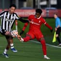 Keyrol Figueroa of Liverpool and Travis Hernes of Newcastle United. (Photo by Nick Taylor/Liverpool FC/Liverpool FC via Getty Images)