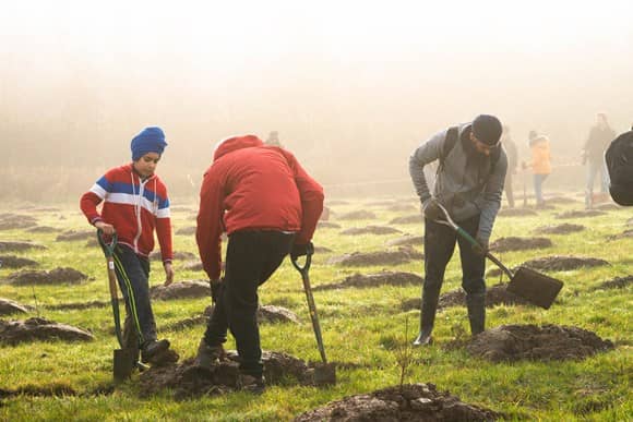 Woodland Trust
