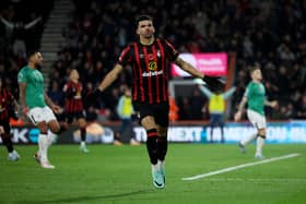 Dominic Solanke celebrates scoring against Newcastle United. 