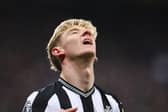 Newcastle United winger Anthony Gordon