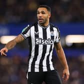 Callum Wilson is close to a return for Newcastle United. 