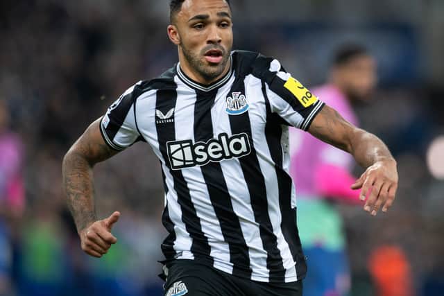 Callum Wilson in action for Newcastle United. 
