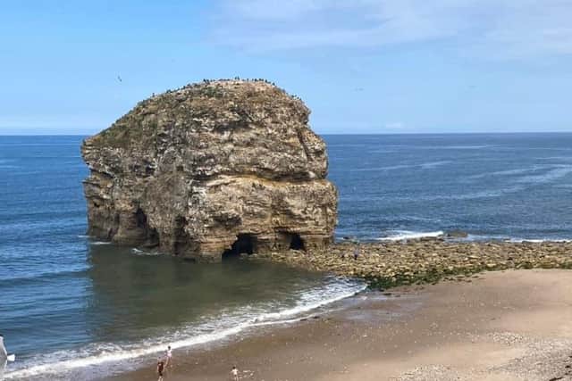 Marsden Rock is home to many nesting seabirds.