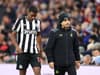Newcastle United handed Alexander Isak injury boost as £83m trio subject to late fitness tests ahead of Luton