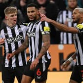 Jamaal Lascelles has played an important role at Newcastle United. 