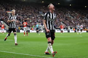 Sean Longstaff of Newcastle United celebrates scoring his team's second goal during the Premier League match between Newcastle United and Luton Town at St. James Park on February 03, 2024 in Newcastle upon Tyne, England. (Photo by George Wood/Getty Images)