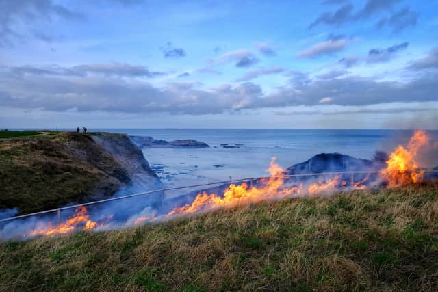 Fire crews were called to Marsden Cliffs at around 3.30pm on Saturday, February 3. Photo: Derek Roy.