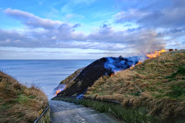 A large patch of grass has been damaged as a result of the fire. Photo: Derek Roy.