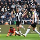 Newcastle United defender Dan Burn concedes a penalty against Luton Town. (Photo by George Wood/Getty Images)