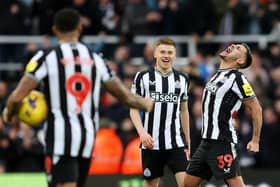 Bruno Guimaraes of Newcastle United celebrates after teammate Harvey Barnes scores the team's fourth goal during the Premier League match between Newcastle United and Luton Town at St. James Park on February 03, 2024 in Newcastle upon Tyne, England. (Photo by Matt McNulty/Getty Images)