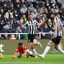 Dermot Gallagher has given his view on Luton Town's penalty against Newcastle United.