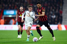 Newcastle United defender Harrison Ashby. Ashby has been ruled-out for a 'few weeks' after suffering a muscle injury whilst on-loan at Swansea City.