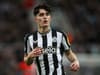 Why £111m Newcastle United trio have been left out of Premier League squad as official decision made - photos
