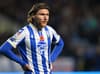 Forgotten Newcastle United man offered hope for Sheffield Wednesday return after squad omission