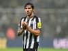Sandro Tonali official Newcastle United return date following fresh FA charge
