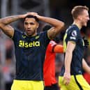 Newcastle United striker Callum Wilson has been ruled out for nine to 12 weeks