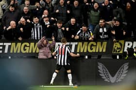 Matt Ritchie celebrating scoring a late equaliser for Newcastle United against former club Bournemouth.