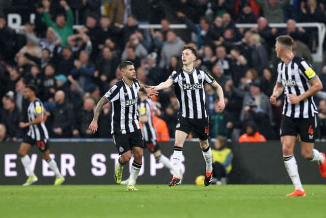 Bruno Guimaraes and Joe White of Newcastle United celebrate Matt Ritchie of Newcastle United (not pictured) scores second goal during the Premier League match between Newcastle United and AFC Bournemouth at St. James Park on February 17, 2024 in Newcastle upon Tyne, England. (Photo by George Wood/Getty Images)
