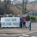 South Tyneside Tree Action Group (STTAG) are raising money to launch legal action against the decision to fell 143 trees at the current South Tyneside College site. Photo: Other 3rd Party.