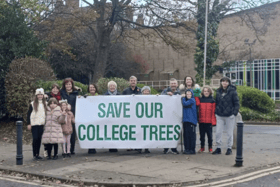 South Tyneside Tree Action Group (STTAG) are raising money to launch legal action against the decision to fell 143 trees at the current South Tyneside College site. Photo: Other 3rd Party.