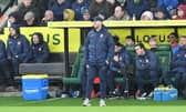 Interim Sunderland head coach Mike Dodds