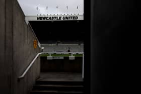 Newcastle United have promoted Andy Howe (Photo by Wolverhampton Wanderers FC/Wolves via Getty Images)