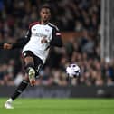 Fulham’s Tosin Adarabioyo is set to become a free agent this summer. 


