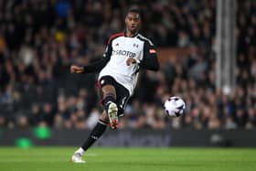 Fulham’s Tosin Adarabioyo is set to become a free agent this summer. 

