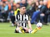 Newcastle United v Tottenham Hotspur: 13 out and three doubts ahead of St James’ Park clash - photos