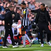 Newcastle United defender Jamaal Lascelles. Lascelles has been ruled-out for between six and nine months with an ACL injury.