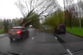 Dashcam footage of the moment a tree was blown onto Princess Road in Manchester during high winds on Monday April 15 2024. 